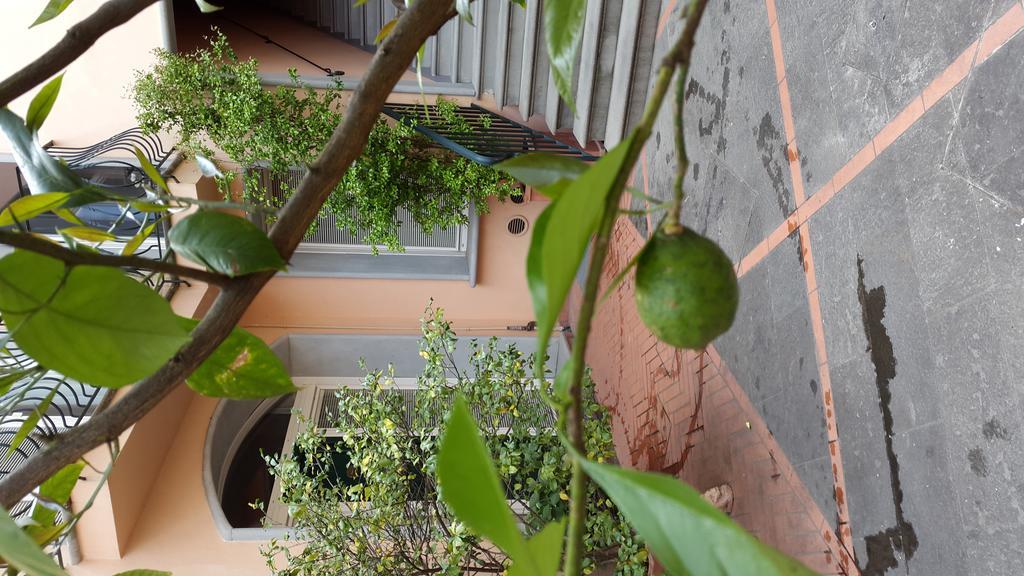 Aparthotel Palazzo Virginio Firenze